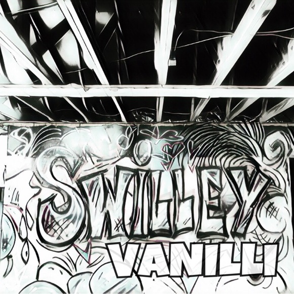 Meet your Posher, Swilley V - Picture 5 of 8